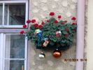 Gartenparty 2014